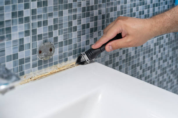 Best Black Mold Removal  in Mustang, OK
