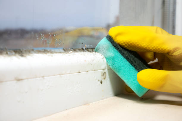 Best Water Damage Restoration  in Mustang, OK